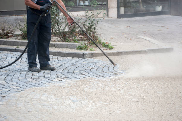 Best Driveway Cleaning and Restoration in Wellington, OH